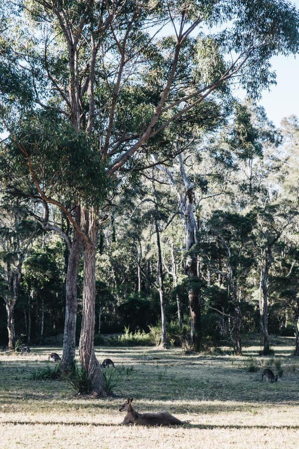 Отель Worrowing Jervis Bay Хаскиссон Экстерьер фото